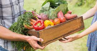 Un achat direct de produits extra frais auprès des agriculteurs et des producteurs proches de chez vous !