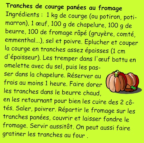 tranches-de-courge-panees-au-fromage